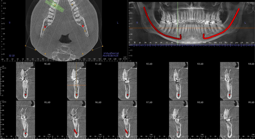 Nuevo número de Científica Dental